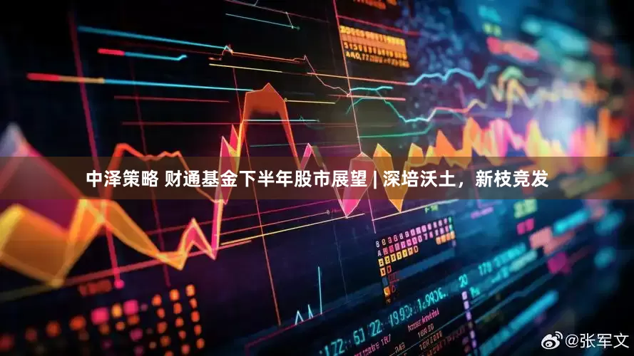 中泽策略 财通基金下半年股市展望 | 深培沃土，新枝竞发