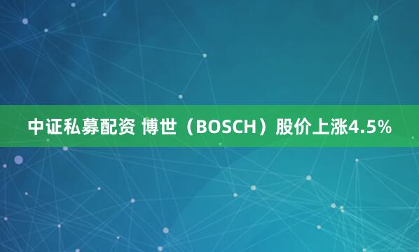中证私募配资 博世（BOSCH）股价上涨4.5%