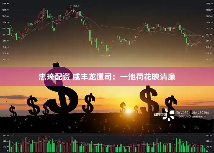 忠琦配资 咸丰龙潭司：一池荷花映清廉