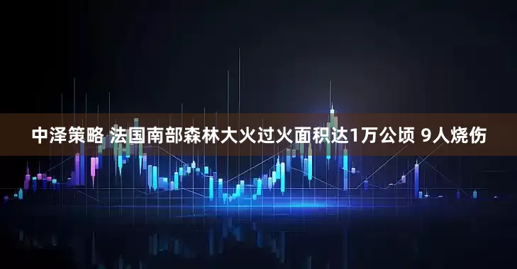 中泽策略 法国南部森林大火过火面积达1万公顷 9人烧伤