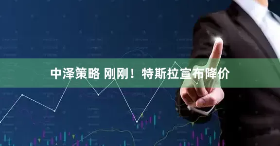 中泽策略 刚刚！特斯拉宣布降价