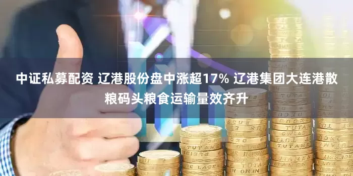 中证私募配资 辽港股份盘中涨超17% 辽港集团大连港散粮码头粮食运输量效齐升